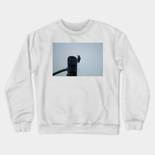 Hll readheaded Crewneck Sweatshirt